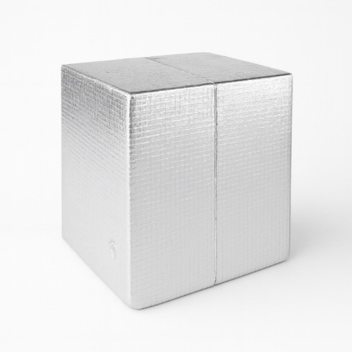 Alu Line Kofferkappe